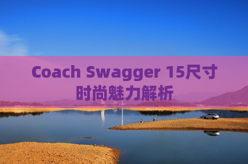 Coach Swagger 15尺寸时尚魅力解析